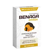 Benaga Chaga