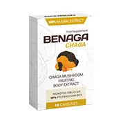 Benaga Chaga