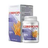 Cordyceps Pulse