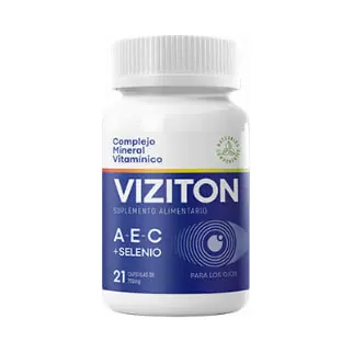 VIZITON